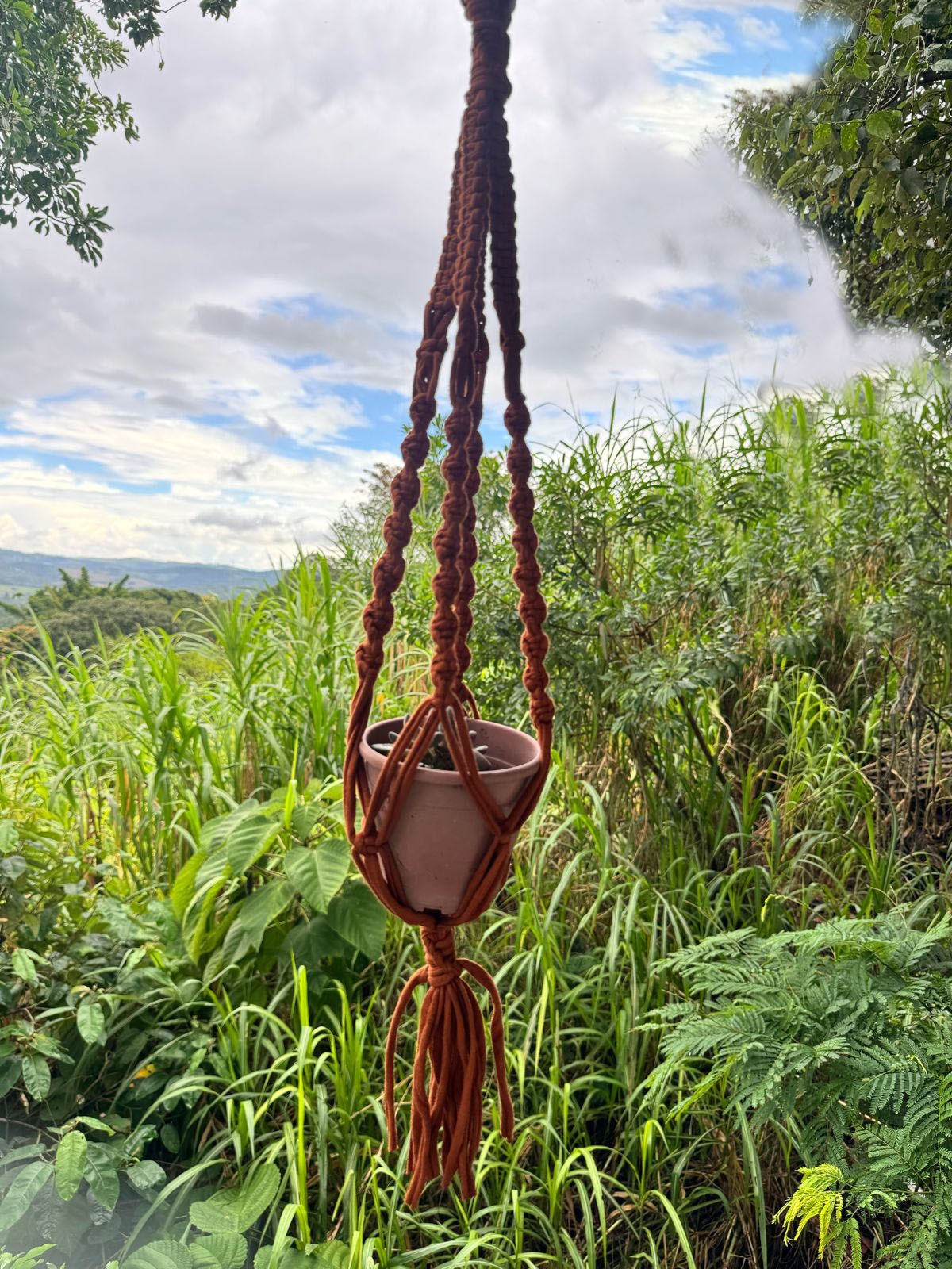 Suporte de Planta em Macramê Malha Um Vaso Terracota