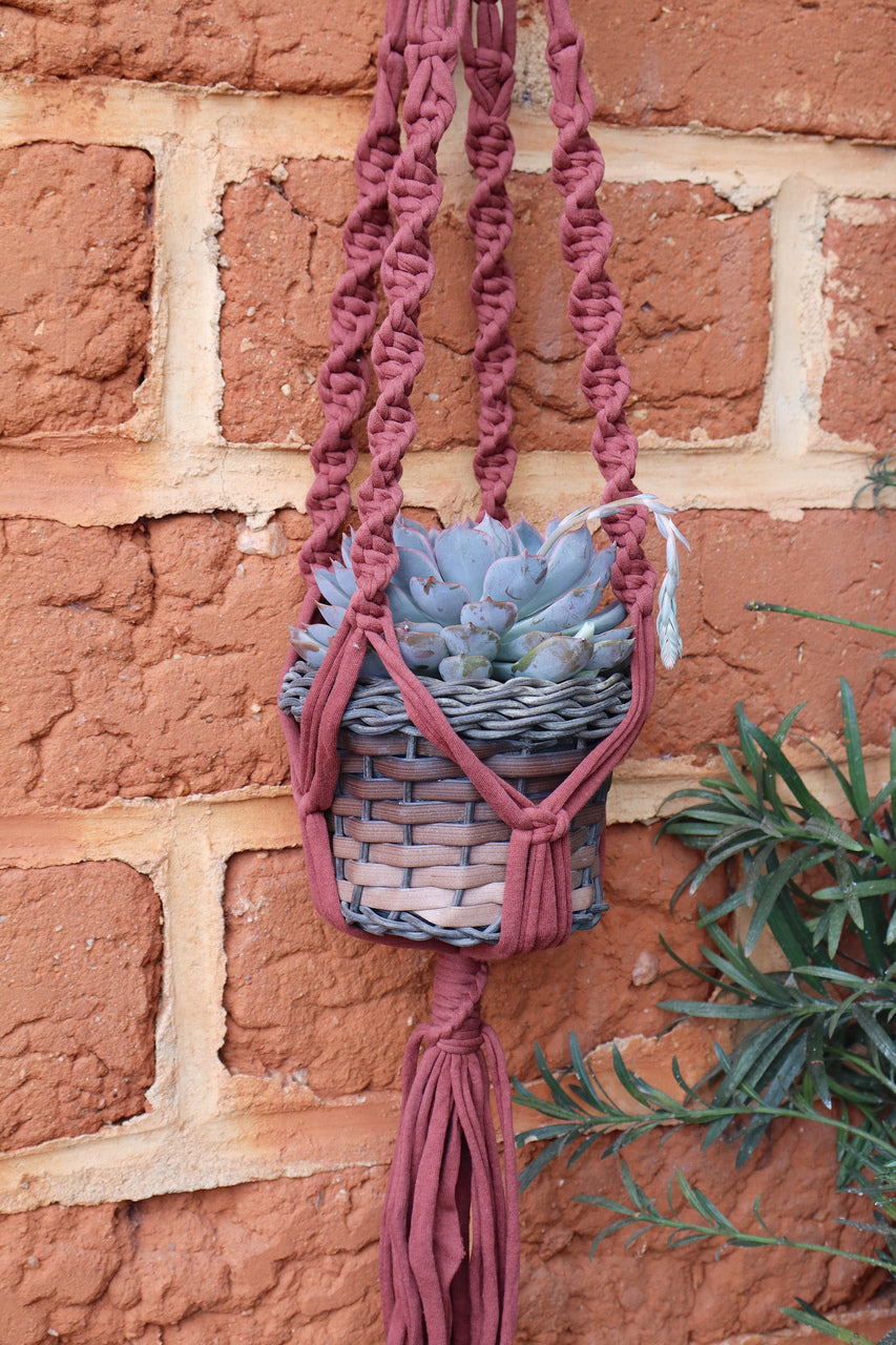 Suporte de Planta em Macramê Malha Um Vaso Terracota