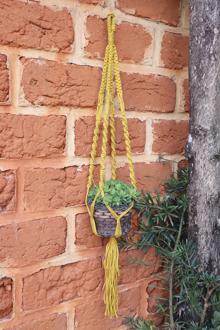 Suporte de Planta em Macramê Malha Um Vaso Mostarda