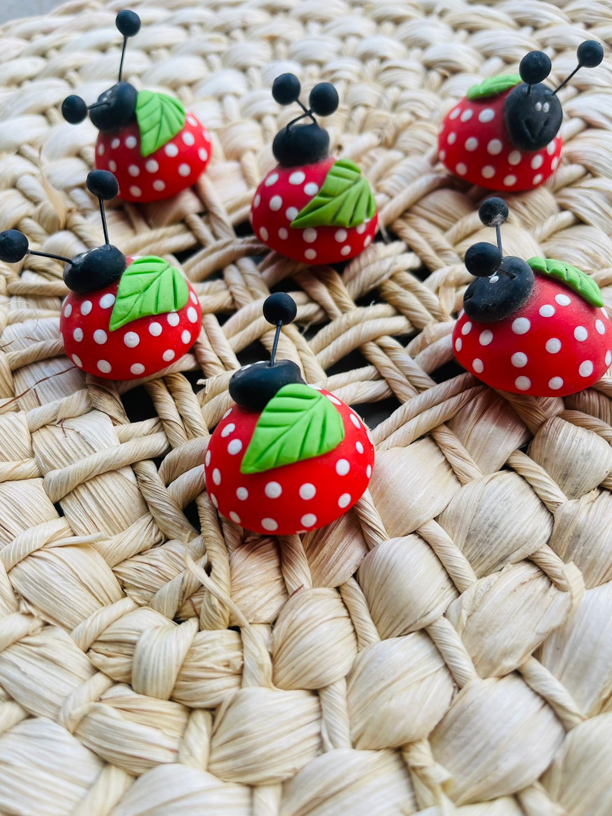 Ímã de Geladeira Joaninha