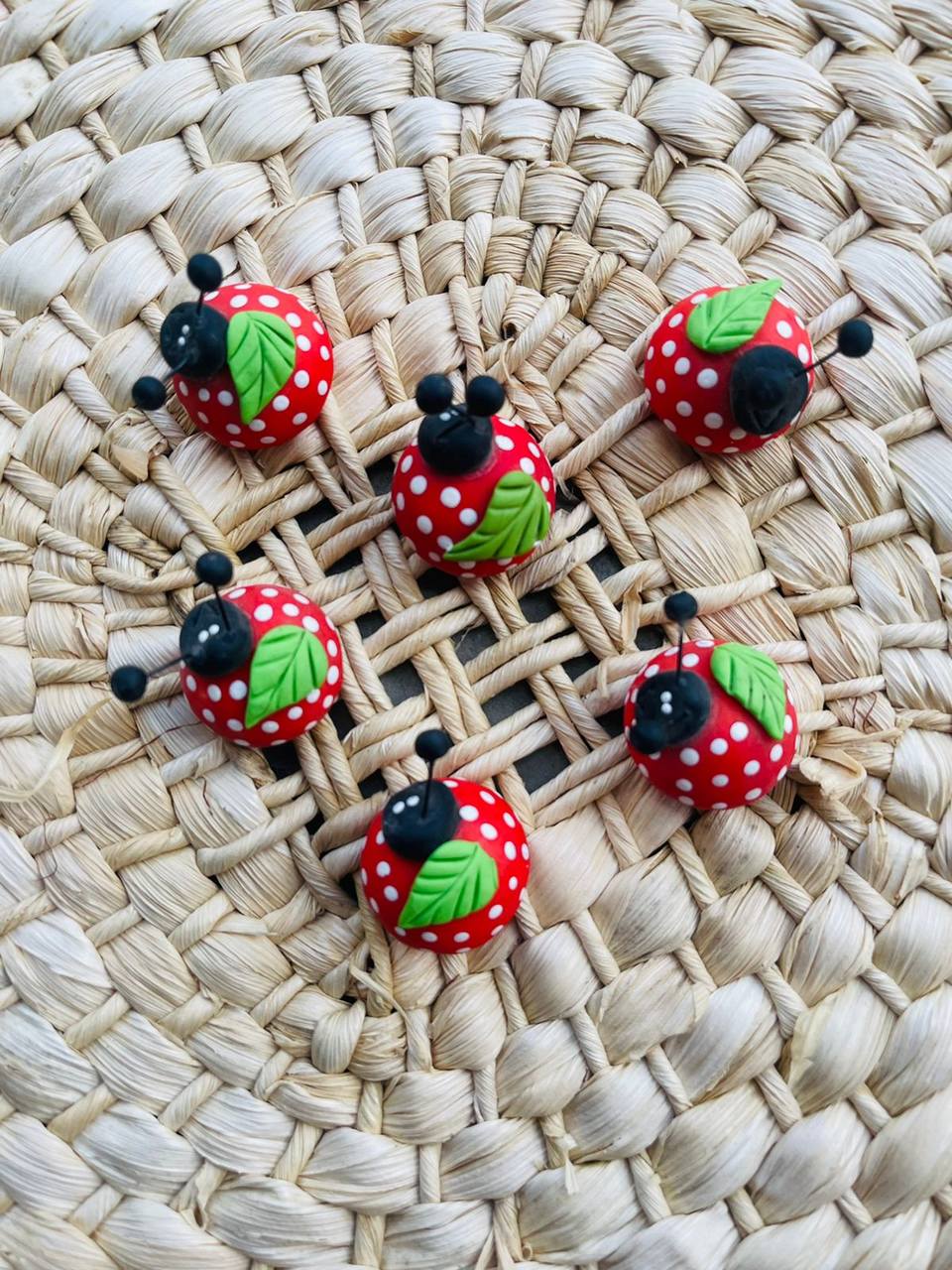 Ímã de Geladeira Joaninha