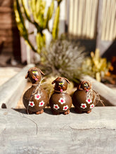 Trio Cachorro em Cabaça Marrom