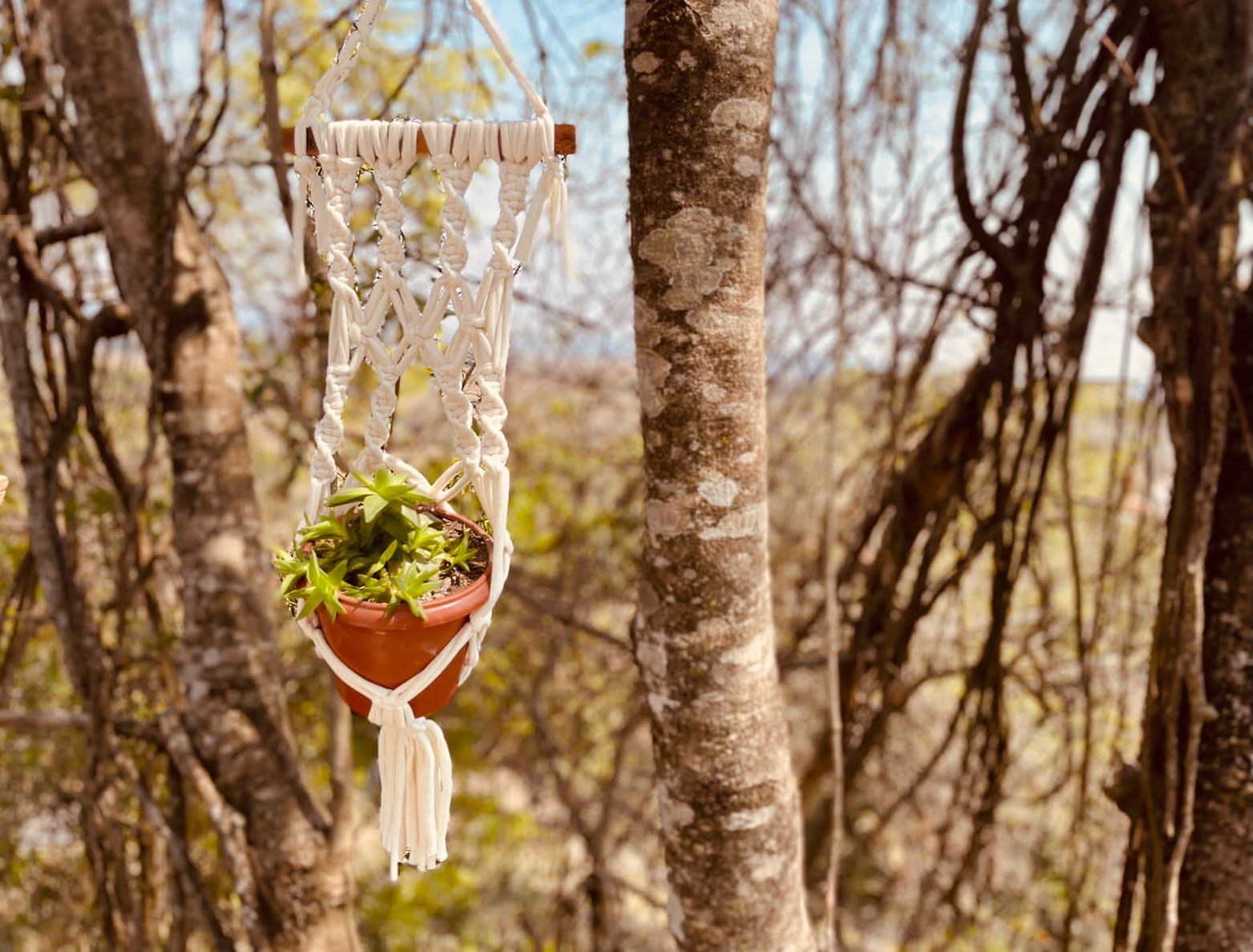 Suporte de Planta em Macramê Malha Um Vaso com Ripa em Madeira Cru