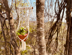 Suporte de Planta em Macramê Malha Um Vaso com Ripa em Madeira Cru