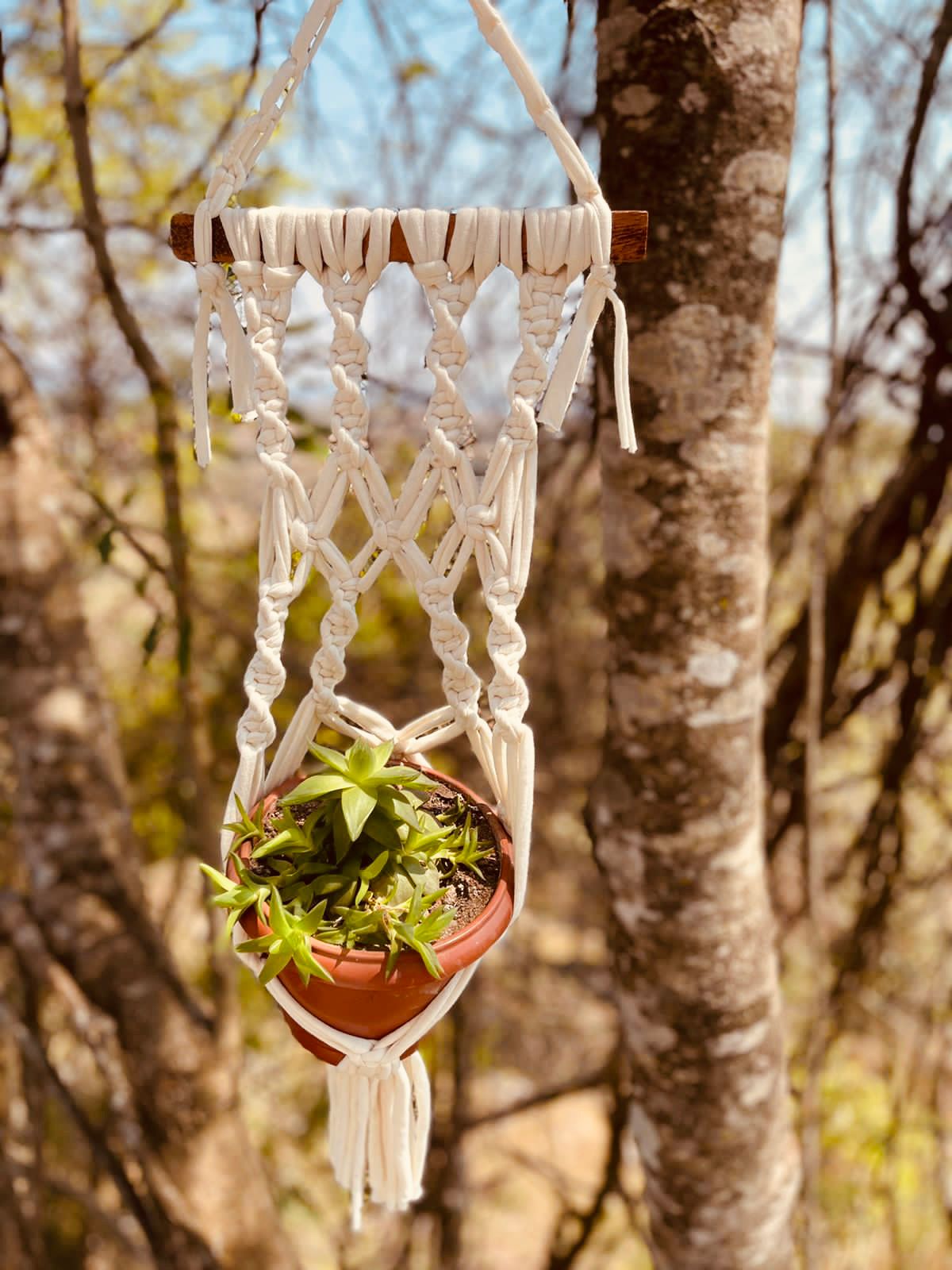 Suporte de Planta em Macramê Malha Um Vaso com Ripa em Madeira Cru