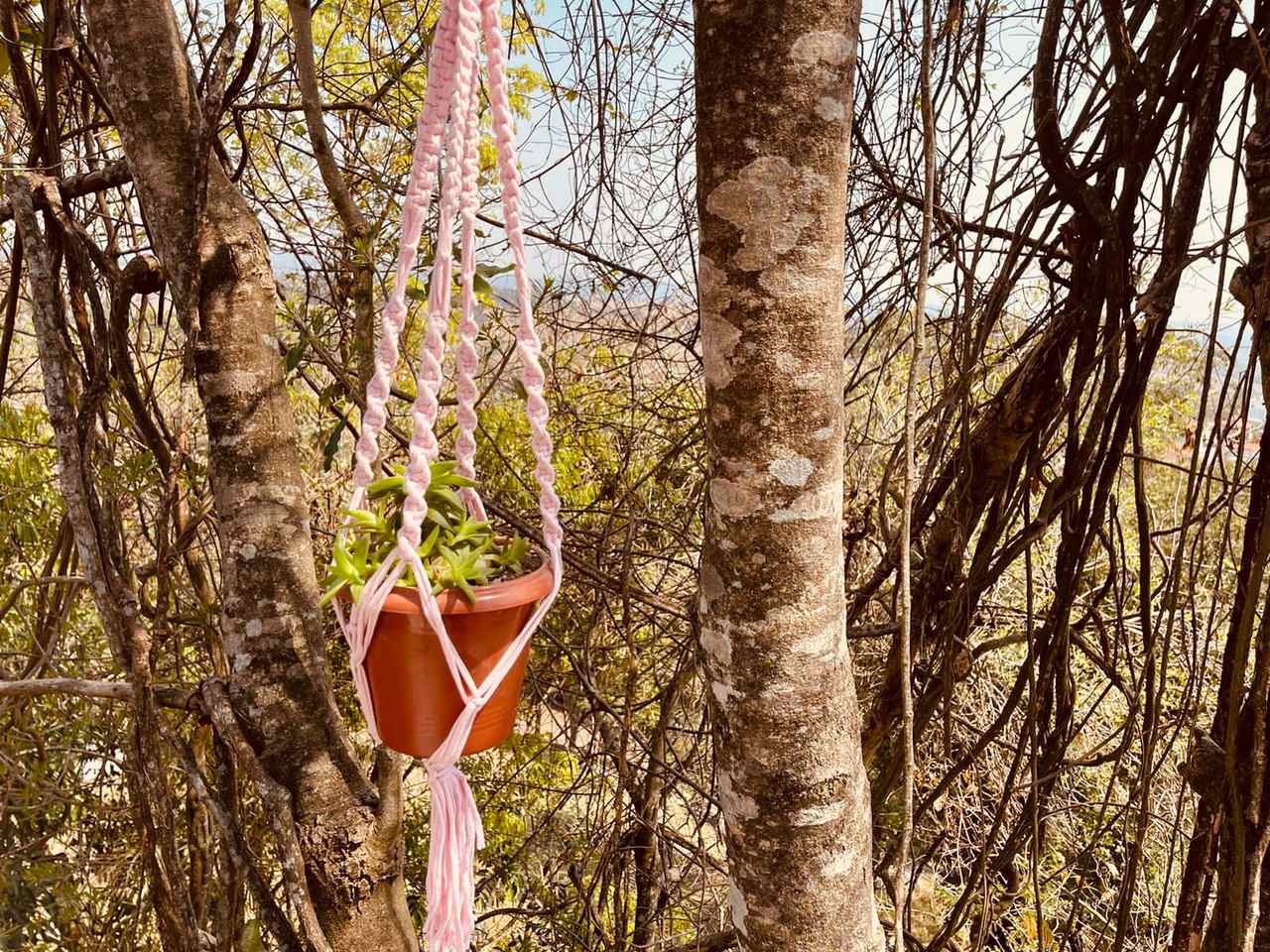 Suporte de Planta em Macramê Malha Um Vaso Rosa