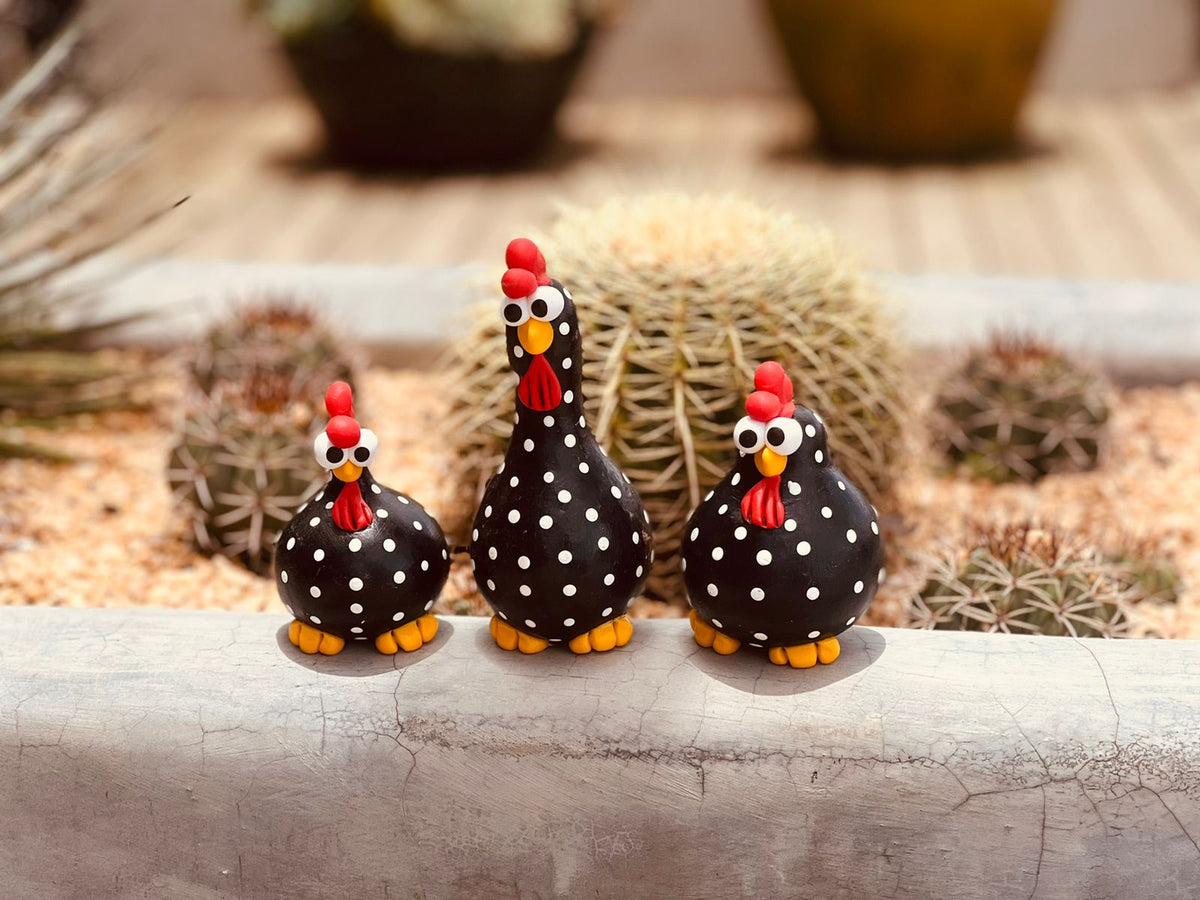 Trio Galinha em Cabaça Preta