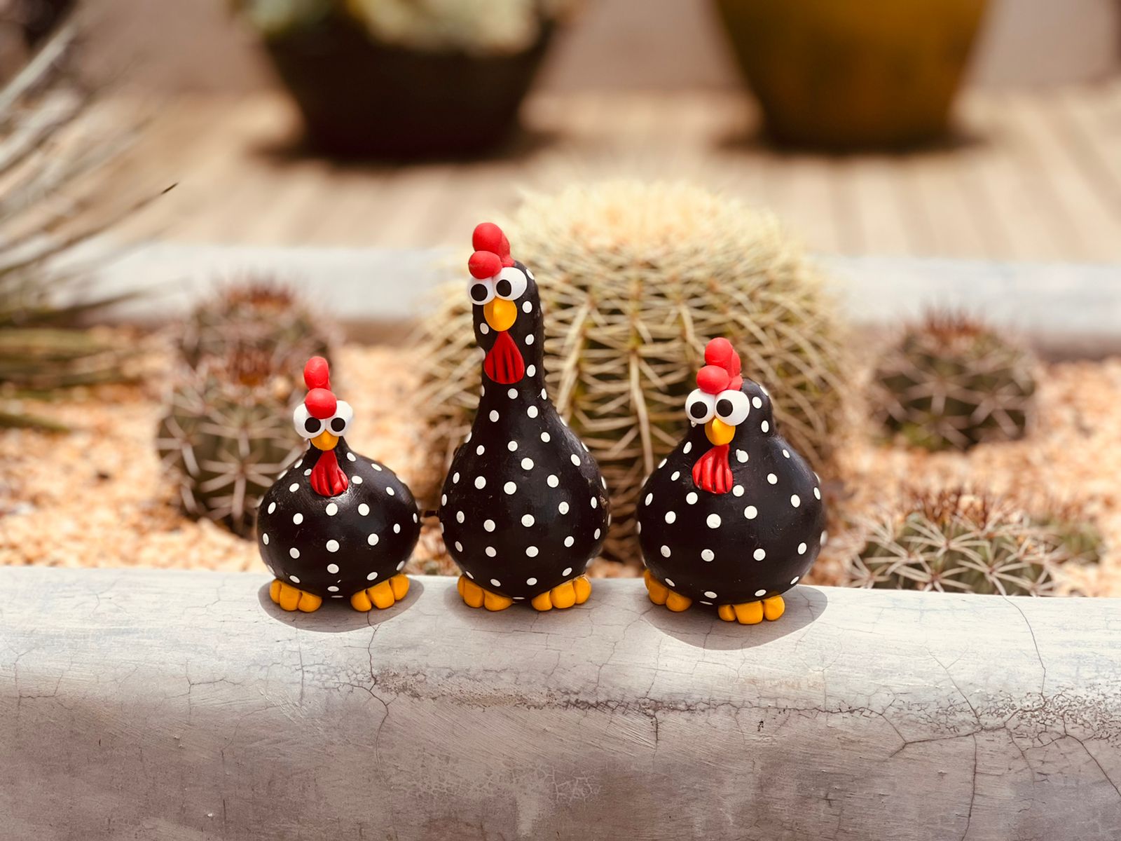 Trio Galinha em Cabaça Preta
